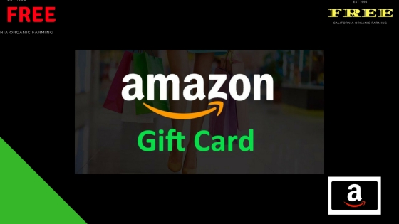 Get A Free 100 Amazon Gift Card Free Girt Card